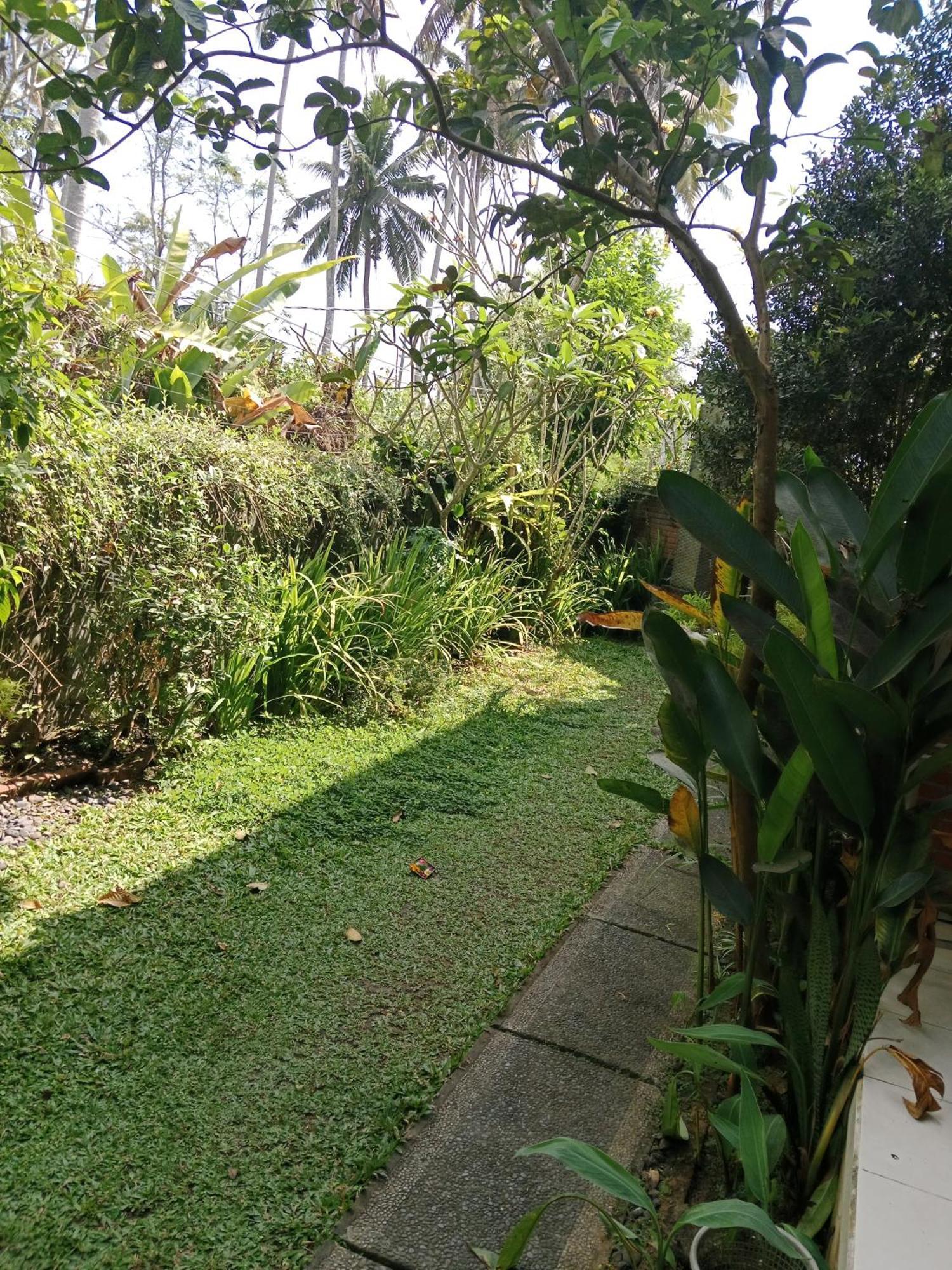 Sunrise Coconut House Hotell Ubud Exteriör bild