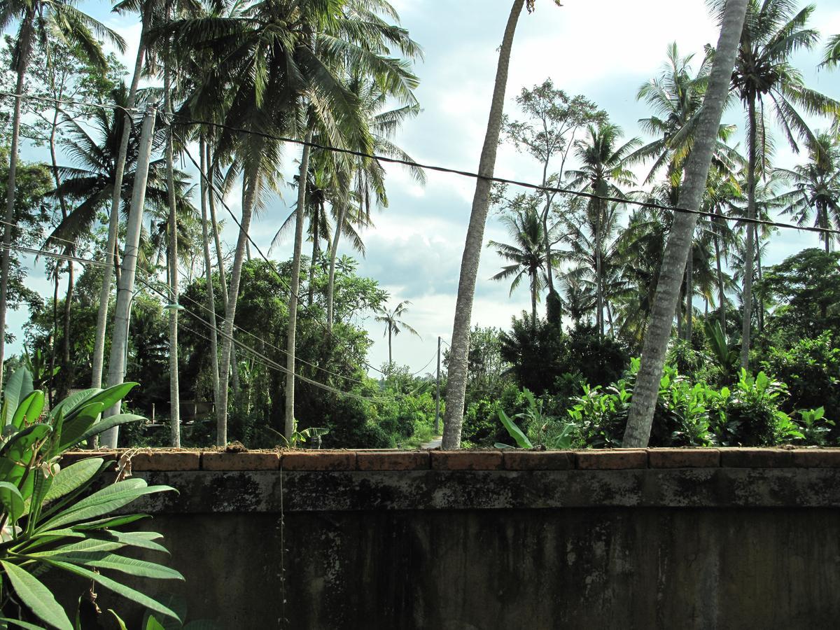 Sunrise Coconut House Hotell Ubud Exteriör bild